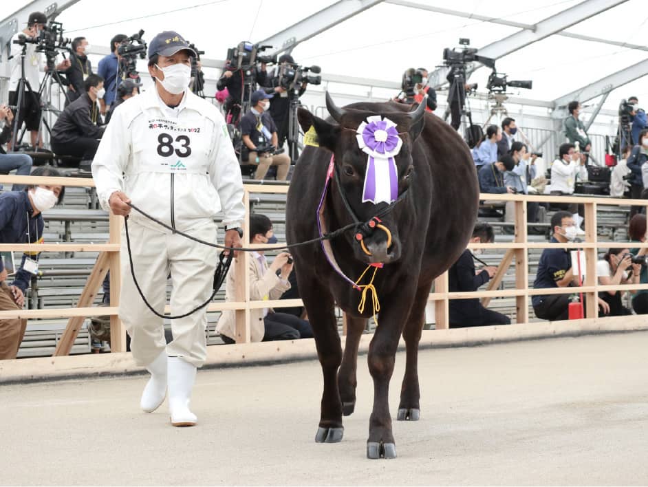 第12回全国和牛能力共進会 出場牛